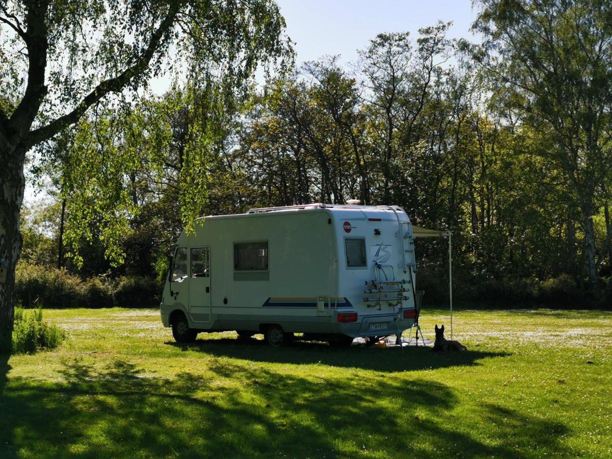 Frederiksvaerk Camping & Hostel Exterior photo